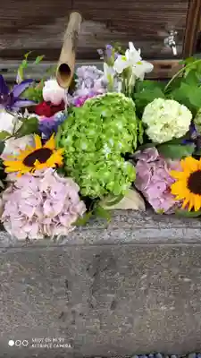 勝林寺(京都府)