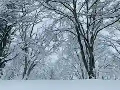 土津神社｜こどもと出世の神さまの自然