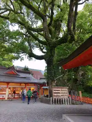 熊野那智大社(和歌山県)