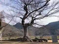 新宮八幡神社(兵庫県)