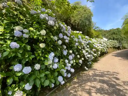 長谷寺(奈良県)