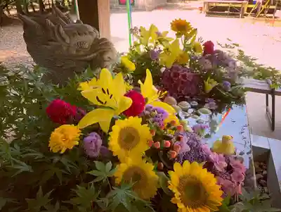 滑川神社 - 仕事と子どもの守り神の手水舎