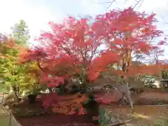 丹生都比売神社(和歌山県)