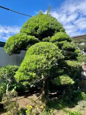 香林院(東京都)