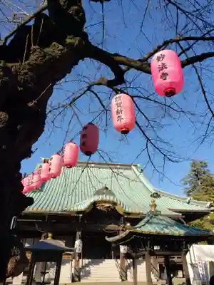 妙法寺の本殿・本堂