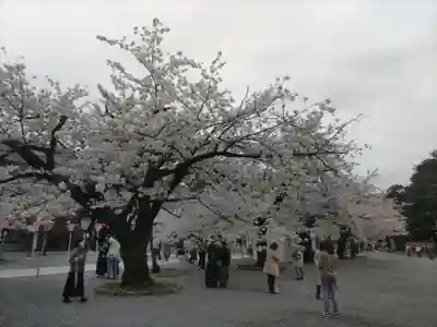 三嶋大社(静岡県)