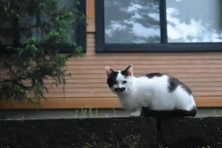 尻岸内八幡神社(北海道)