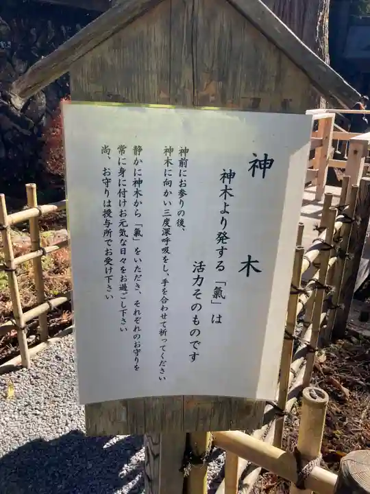 三峯神社(埼玉県)