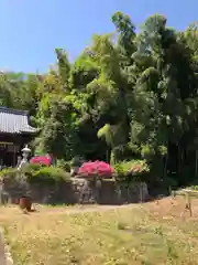 八幡神社(福井県)