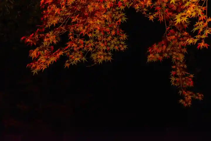 北野天満宮(京都府)