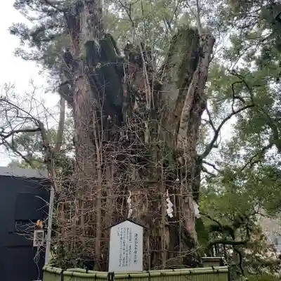 加藤神社(熊本県)