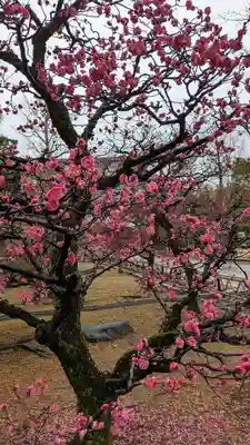  智積院(京都府)