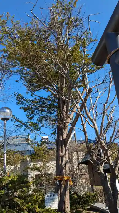 釧路八幡宮の自然