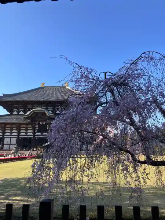 東大寺の{uncategorized: "未分類", other: "その他", undefined: "問題あり", building: "その他建物", grave: "お墓", sacred_gate: "鳥居", guardian: "狛犬", statue: "像", buddha: "仏像", history: "歴史", nature: "自然", garden: "庭園", animal: "動物", pagoda: "塔", temizu: "手水舎", mountain_gate: "山門・神門", sanctuary: "本殿・本堂", subordinate: "末社・摂社", art: "芸術", scenery: "景色", jizo: "地蔵", ema: "絵馬", goshuin: "御朱印", omikuji: "おみくじ", items: "授与品その他", amulet: "お守り", goshuincho: "御朱印帳", eats: "食事", festival: "お祭り", votive_dance: "神楽", shichigosan: "七五三参", wedding: "結婚式", experience: "体験その他", initially: "初詣", around: "周辺", anti_infection: "感染症対策"}