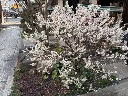 持明院(大阪府)