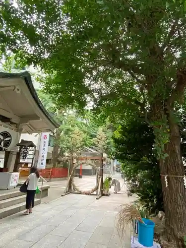 銀杏岡八幡神社の体験その他