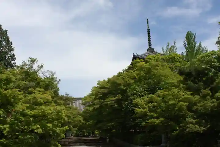 真正極楽寺(真如堂)(京都府)