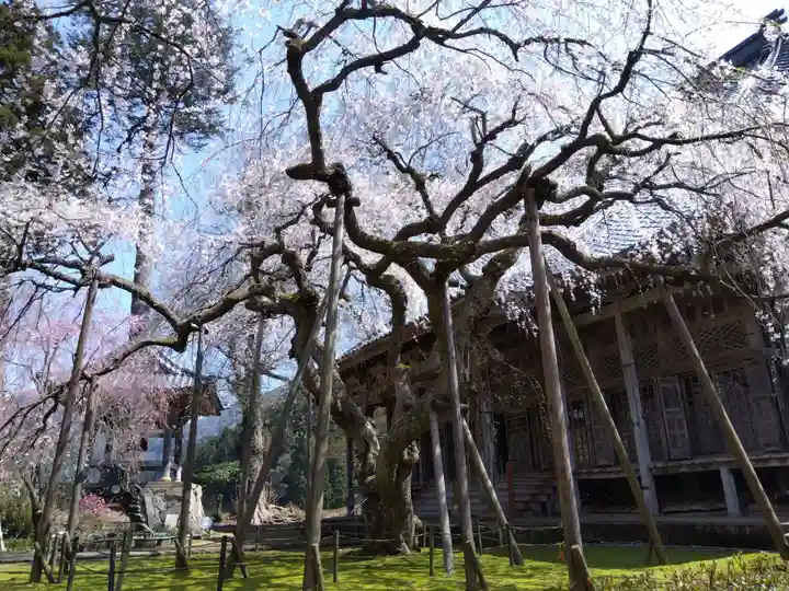 西雲寺(福井県)