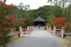 願成寺の建物その他