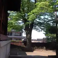 久保市乙剣宮の建物その他