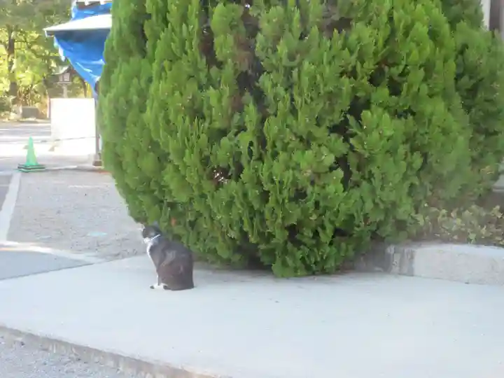 山梨縣護國神社(山梨県)