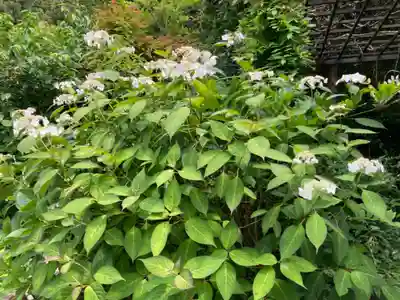 黄梅院(円覚寺塔頭)(神奈川県)