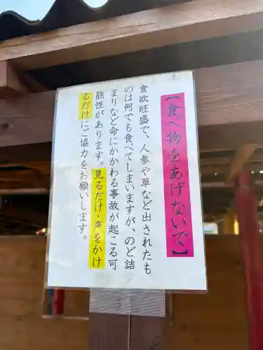 五方山熊野神社(東京都)