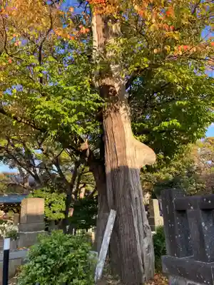 上正寺(神奈川県)