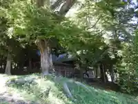 諏訪大社上社前宮(長野県)