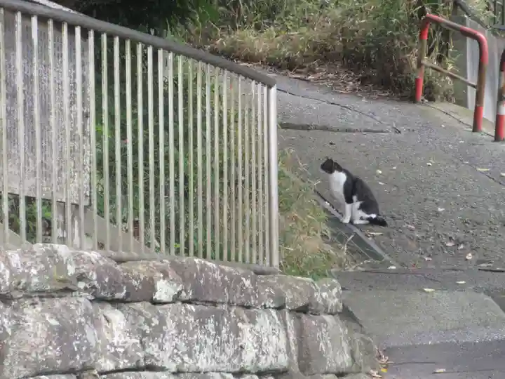 六代山不動院(神奈川県)
