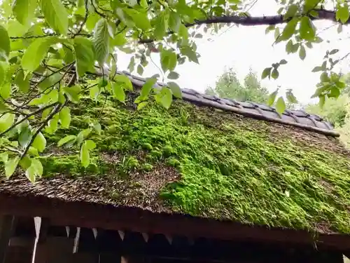 泥牛庵のその他建物