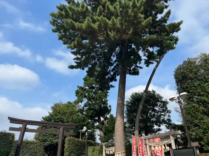 中野沼袋氷川神社(東京都)