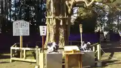 水戸八幡宮の自然