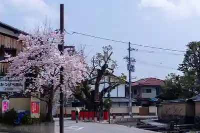 藤木社（賀茂別雷神社末社）(京都府)