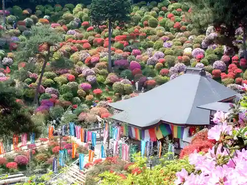 塩船観音寺(東京都)