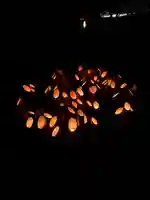 八坂神社のお祭り