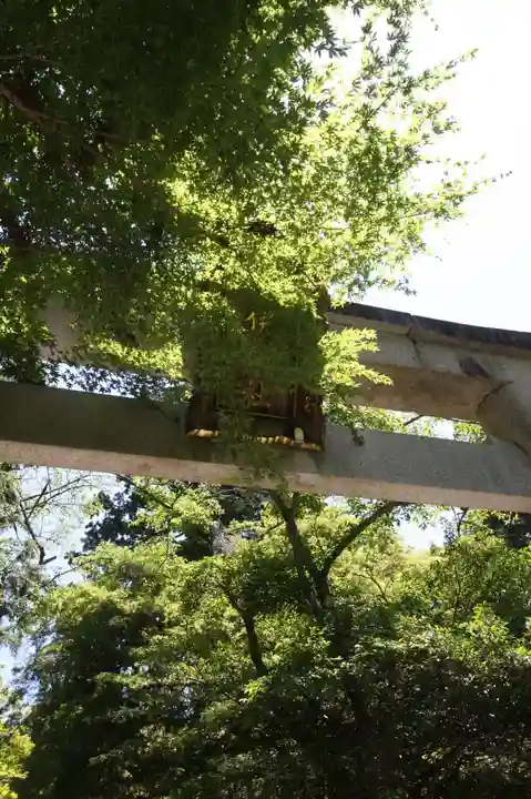 井伊神社(滋賀県)