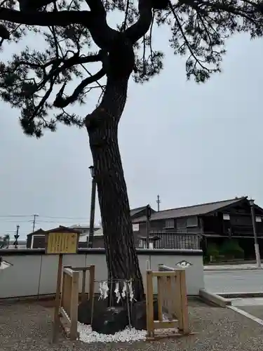 姥神大神宮(北海道)