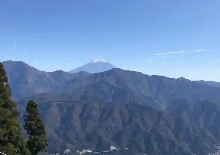 身延山奥之院思親閣の自然