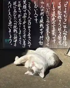 専念寺(大阪府)(2022年11月24日(木) 20時21分46秒投稿)