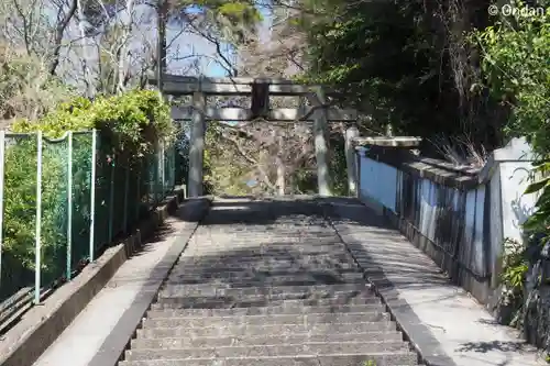伊居太神社(大阪府)