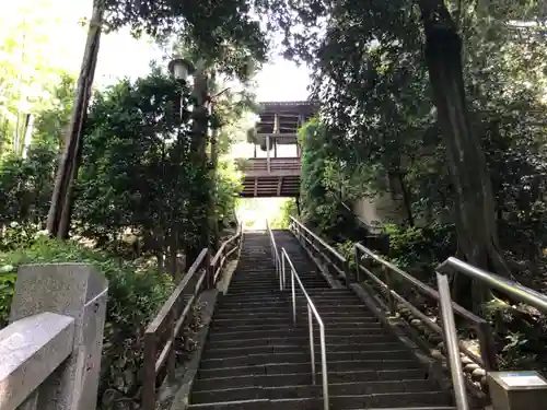 達磨寺(群馬県)