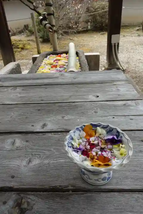 菅原天満宮(菅原神社)の手水舎