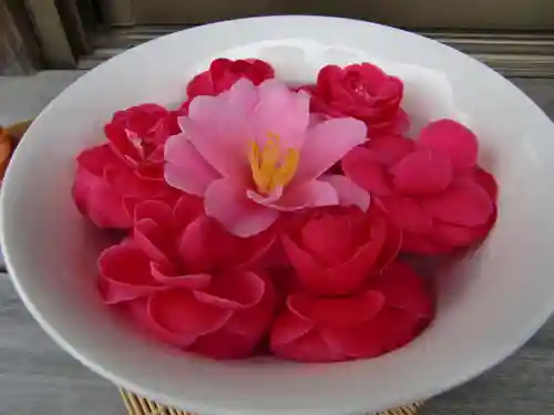 今市報徳二宮神社の手水舎