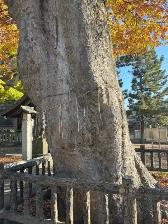 豊田神社(東京都)