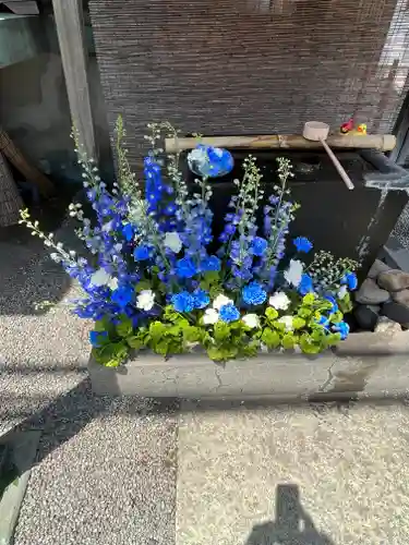 上尾御嶽神社の手水