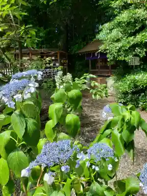 阿佐ヶ谷神明宮(東京都)