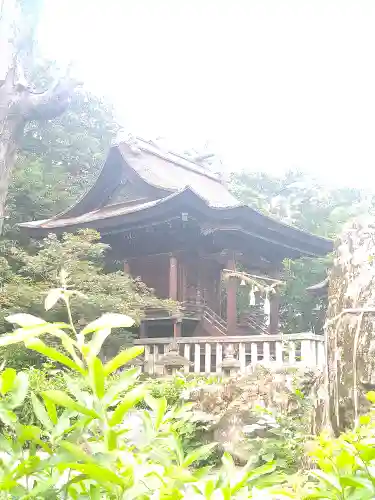 阿智神社の本殿