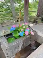 善峯寺(京都府)