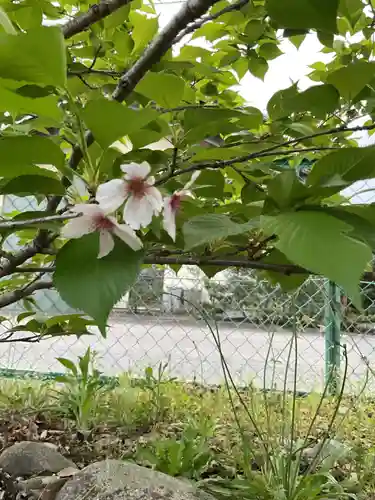 生蓮寺 跡(岐阜県)